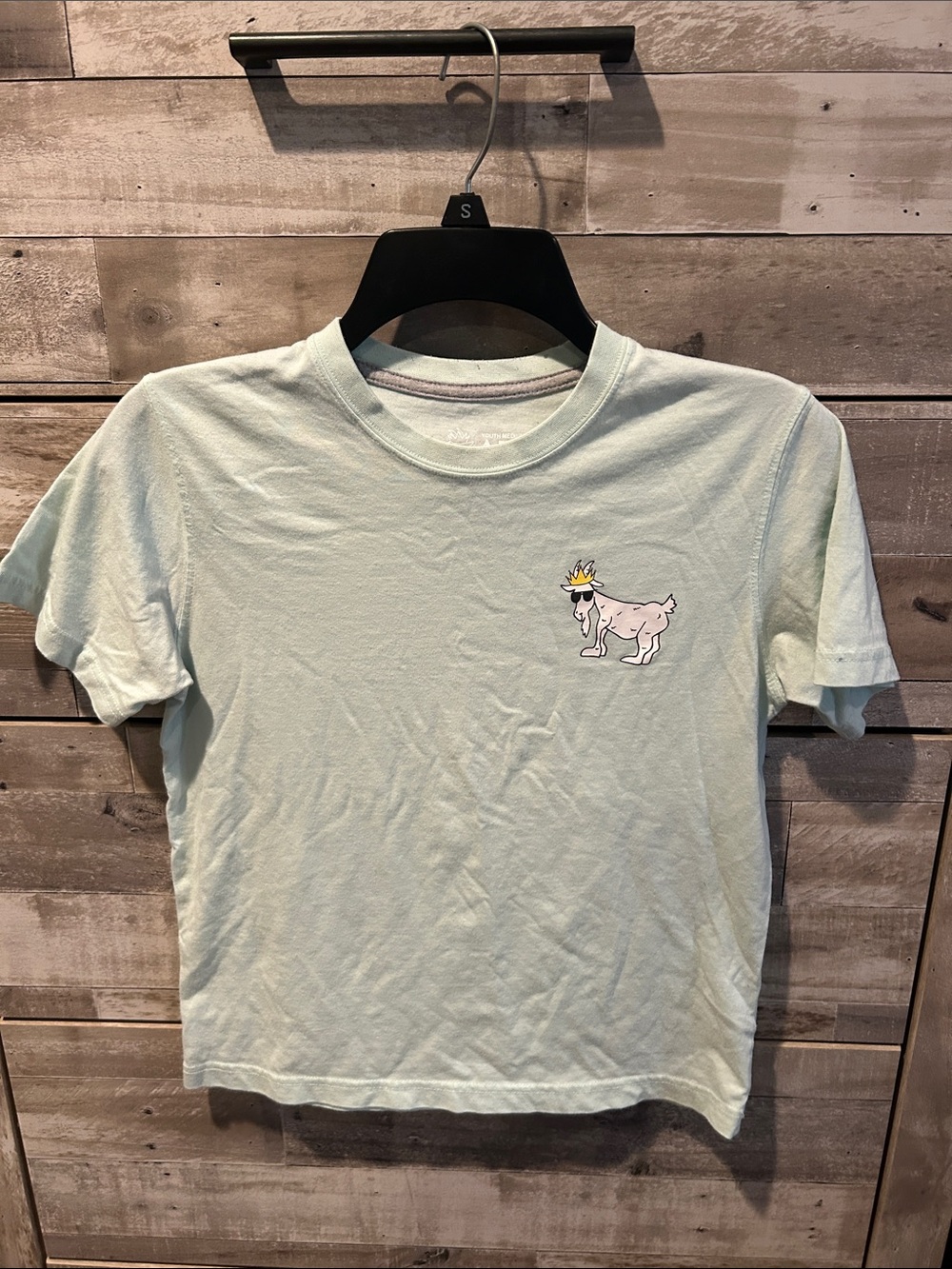Kids Mint Short Sleeve Tee with Fun Goat Graphic